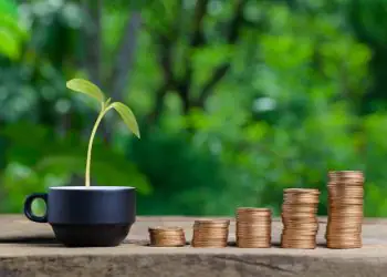 Fundo Amazônia destina R$ 69 milhões para cadeias agroextrativistas no Acre