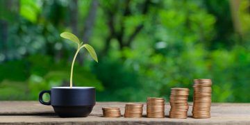 Fundo Amazônia destina R$ 69 milhões para cadeias agroextrativistas no Acre