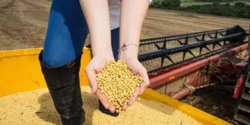 Goiás amplia produção agrícola e mantém força da pecuária no campo