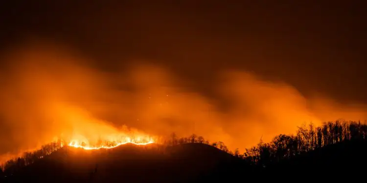Ibama autoriza novas brigadas para atuação contra incêndios florestais 1 Ibama autoriza novas brigadas para atuação contra incêndios florestais