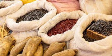 Mercado de feijão inicia abril em queda com demanda enfraquecida