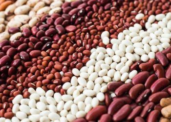 Mercado de feijao registra queda recente mas mantem valorizacao no trimestre 1