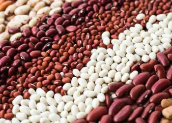 Mercado de feijão registra queda recente, mas mantém valorização no trimestre 9 Mercado de feijão registra queda recente, mas mantém valorização no trimestre