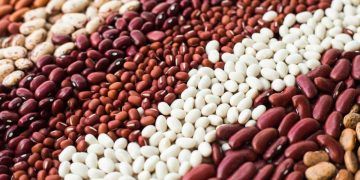 Mercado de feijão registra queda recente, mas mantém valorização no trimestre