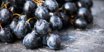 Novos produtos entram na lista de descontos do Pronaf em abril; confira os produtos