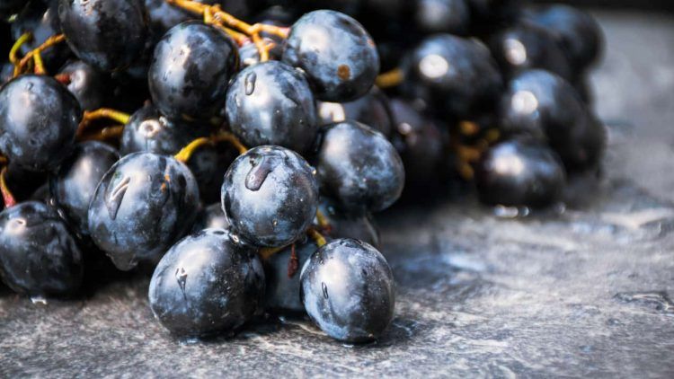 Novos produtos entram na lista de descontos do Pronaf em abril confira os produtos