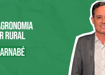 Podcast com Fernando Barnabe