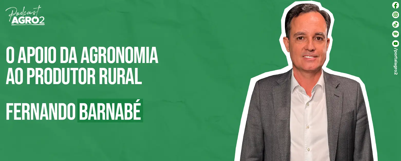 Podcast com Fernando Barnabe