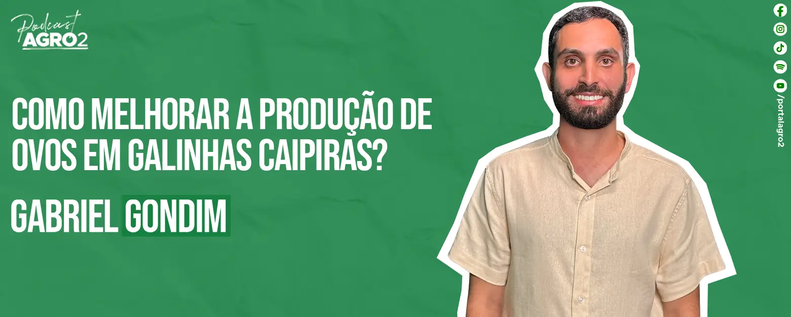 Podcast com Gabriel Gondim