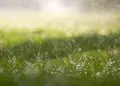 Previsão do tempo na semana tem chuva no Norte e Nordeste e tempo seco no Centro