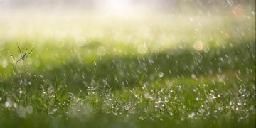 Previsão do tempo na semana tem chuva no Norte e Nordeste e tempo seco no Centro