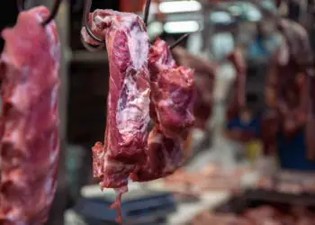 Produção brasileira de carnes no Brasil deve atingir 33,38 milhões de toneladas em 2026