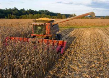 Producao brasileira de graos pode alcancar 3563 milhoes de toneladas na safra 2526