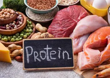 Produção de proteínas cresce e Brasil amplia espaço no mercado internacional
