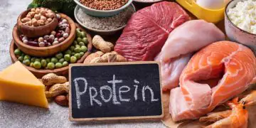 Produção de proteínas cresce e Brasil amplia espaço no mercado internacional