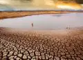 Risco de estiagem no Amazonas acende alerta para planejamento no campo