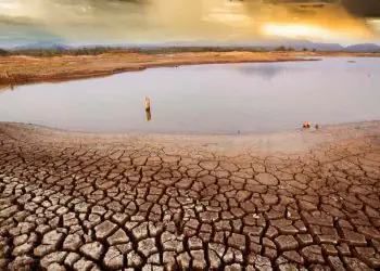 Risco de estiagem no Amazonas acende alerta para planejamento no campo