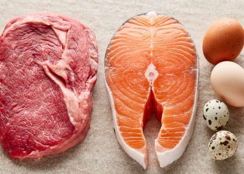 SIAVS 2026 reúne feira e congresso da proteína animal em São Paulo