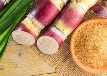 Safra de cana de acucar deve crescer e alcancar 709 milhoes de toneladas em 2627