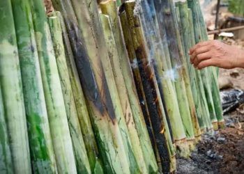 Safra de cana-de-açúcar soma 673,2 milhões de toneladas no ciclo 25/26