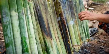 Safra de cana-de-açúcar soma 673,2 milhões de toneladas no ciclo 25/26