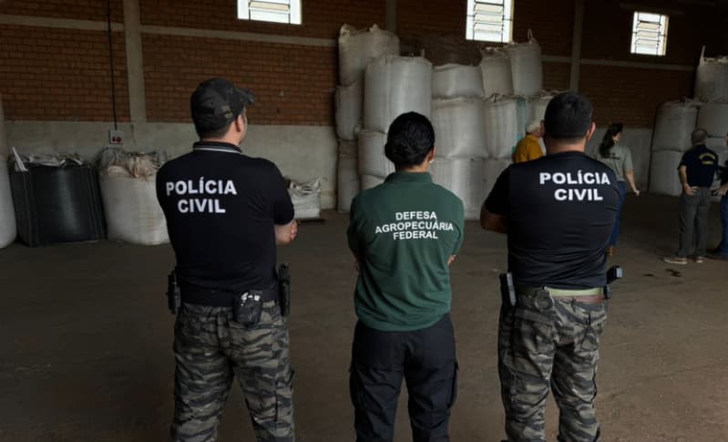 Apreensão de sementes irregulares