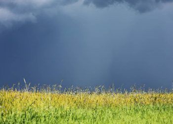 Chuvas intensas devem marcar a semana em diferentes regiões do país