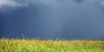 Chuvas intensas devem marcar a semana em diferentes regiões do país