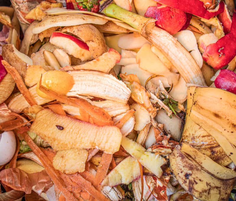 Desperdicio de alimentos