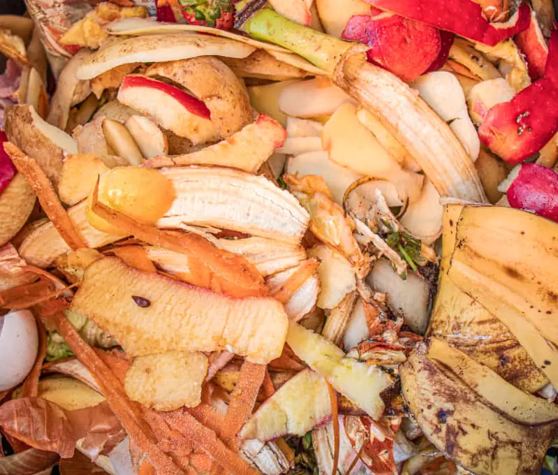 Desperdicio de alimentos