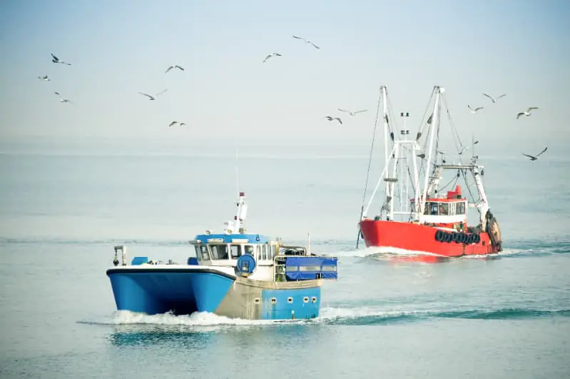Embarcações pesqueiras