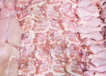 Exportações de carnes de frango e suína crescem e atingem recordes no 1º trimestre 7 Exportações de carnes de frango e suína crescem e atingem recordes no 1º trimestre