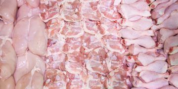 Exportações de carnes de frango e suína crescem e atingem recordes no 1º trimestre