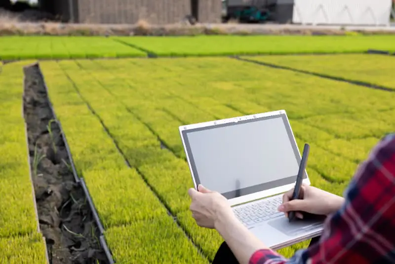Monitoramento agrícola