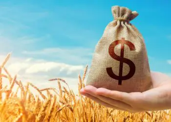 Plano Safra 2025/2026 movimenta R$ 404 bilhões em crédito rural empresarial