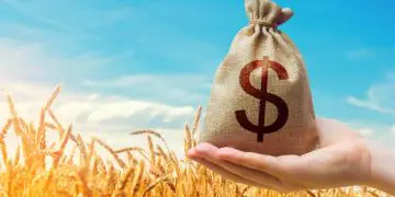 Plano Safra 2025/2026 movimenta R$ 404 bilhões em crédito rural empresarial