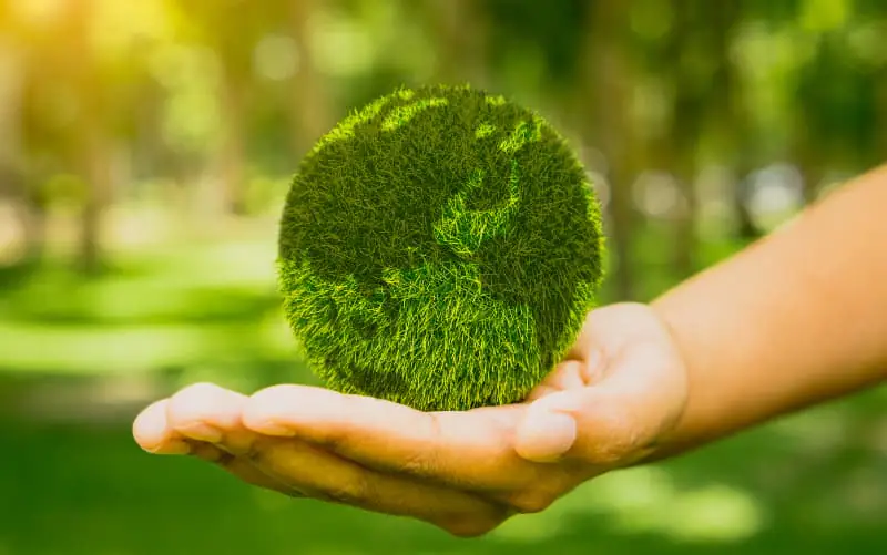 Uso sustentavel dos recursos naturais