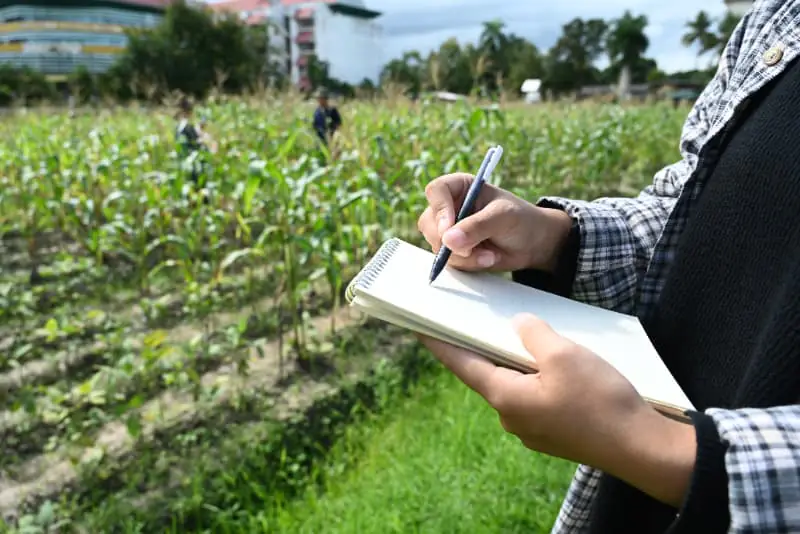 Verificação agrícola