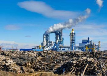 Aberta inscrição para curso gratuito online sobre mercado de carbono; veja como se inscrever