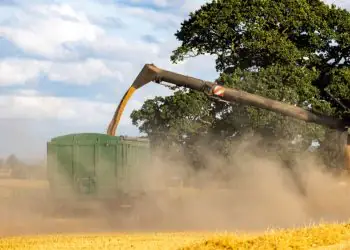 Agropecuária impulsiona crescimento de 1,1% do PIB brasileiro no início de 2026