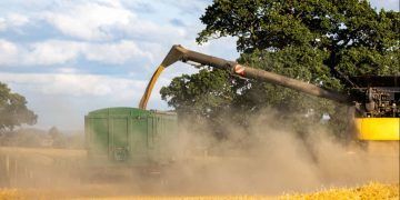 Agropecuária impulsiona crescimento de 1,1% do PIB brasileiro no início de 2026