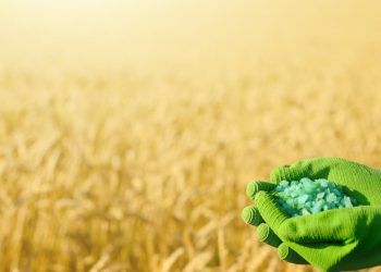Alta dos fertilizantes pressiona custos e preocupa produtores para a proxima safra