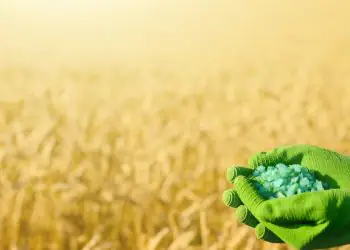 Alta dos fertilizantes pressiona custos e preocupa produtores para a próxima safra