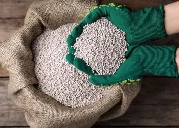 Arco Norte supera Paranaguá e lidera entrada de fertilizantes no Brasil