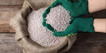 Arco Norte supera Paranaguá e lidera entrada de fertilizantes no Brasil