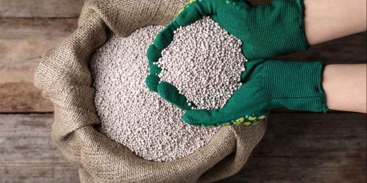 Arco Norte supera Paranaguá e lidera entrada de fertilizantes no Brasil 1 Arco Norte supera Paranaguá e lidera entrada de fertilizantes no Brasil