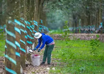Borracha natural importada registra leve alta no preço em abril