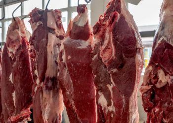 China suspende exportações de carne bovina de três frigoríficos brasileiros