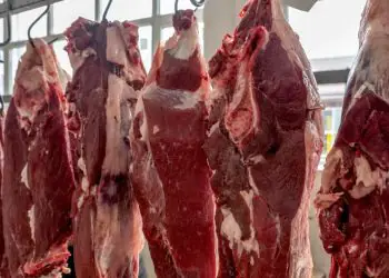 China suspende exportações de carne bovina de três frigoríficos brasileiros