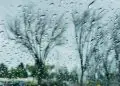 Chuva forte persiste no Norte enquanto outras regiões seguem com tempo seco, aponta Inmet